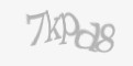 Защитный код